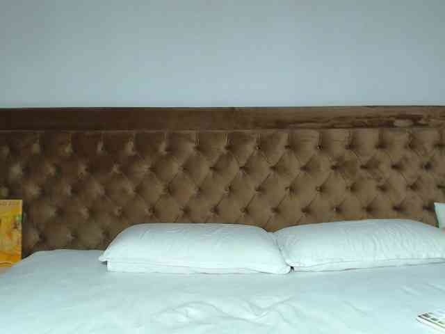 aylinhoney webcam