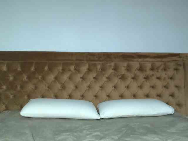aylinhoney webcam