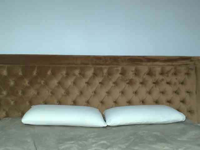 aylinhoney webcam