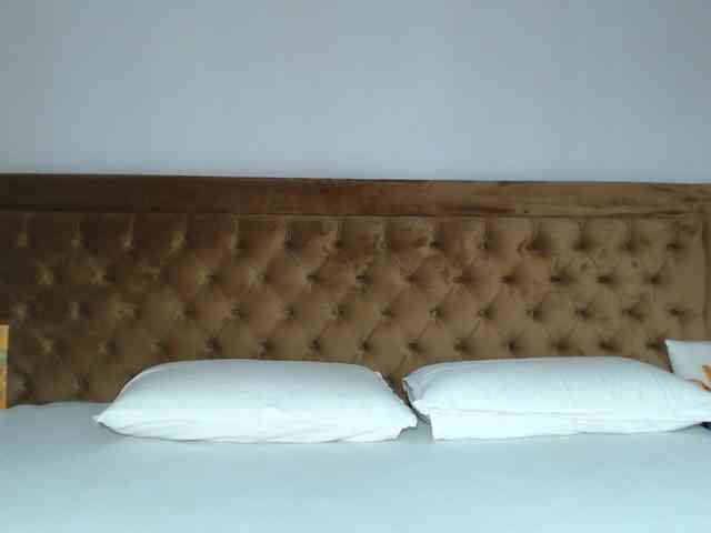 aylinhoney webcam