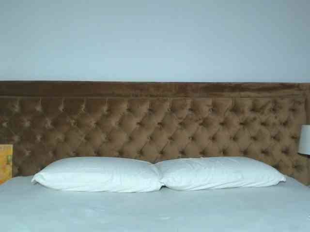 aylinhoney webcam