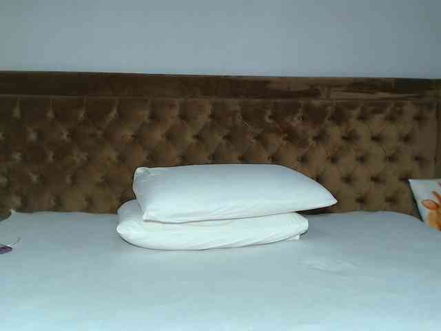 aylinhoney webcam