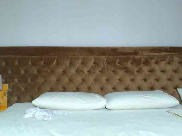 aylinhoney webcam