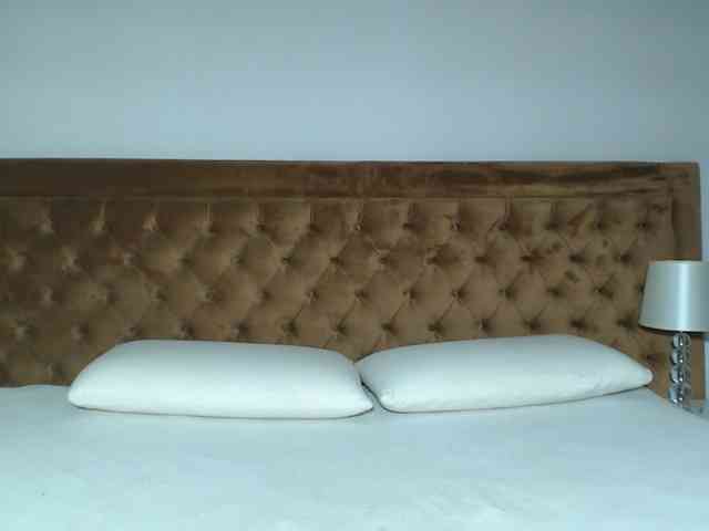 aylinhoney webcam