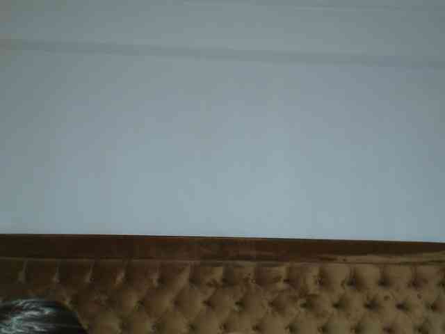 aylinhoney webcam