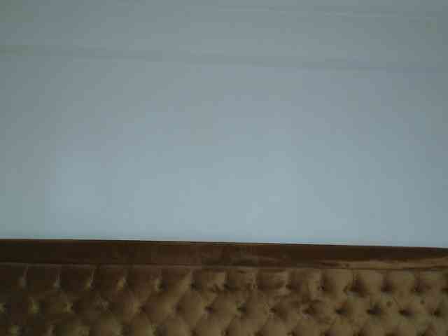 aylinhoney webcam