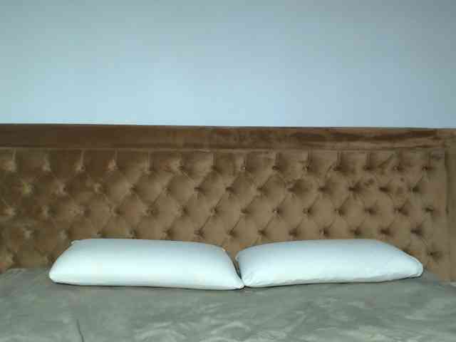 aylinhoney webcam