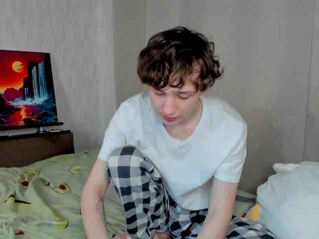 EvaRobin webcam