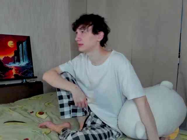 EvaRobin webcam