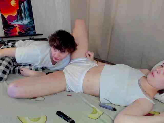 EvaRobin webcam