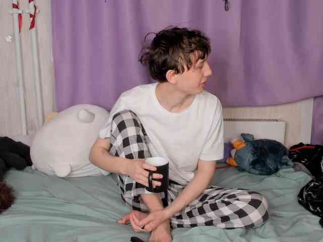 EvaRobin webcam