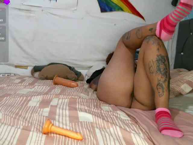 Pameykami webcam