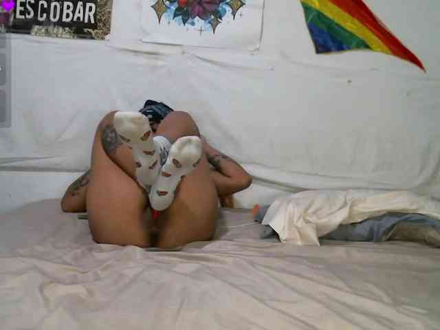 Pameykami webcam