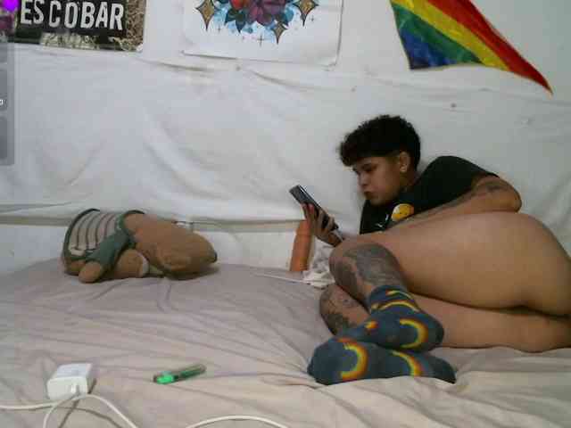 Pameykami webcam