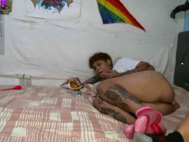 Pameykami webcam