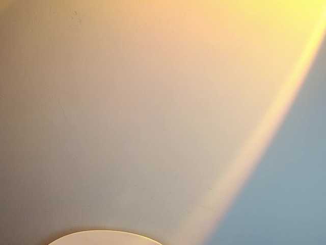lanerb live cam