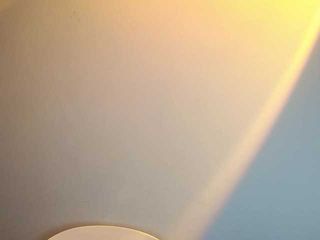 lanerb live cam on BongaCams