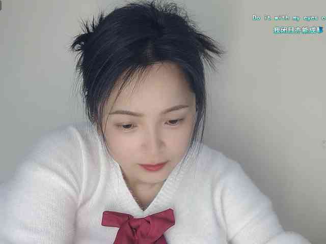 lanerb webcam