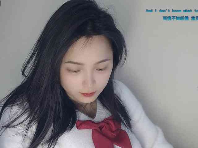 lanerb webcam