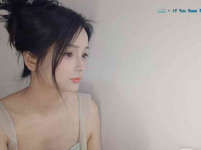 lanerb webcam