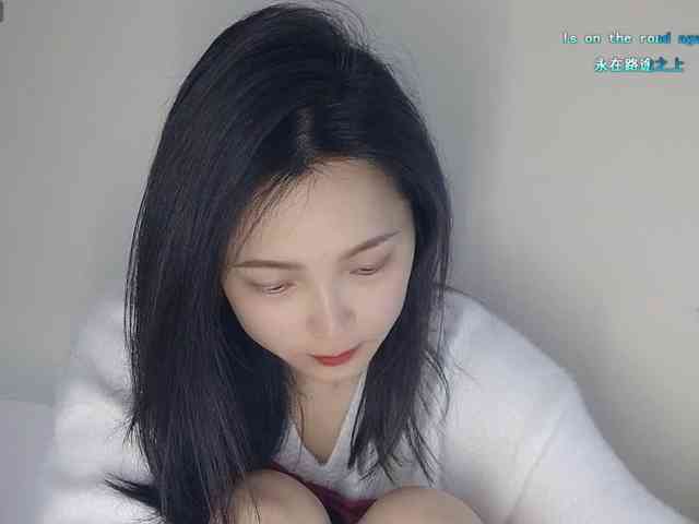lanerb webcam
