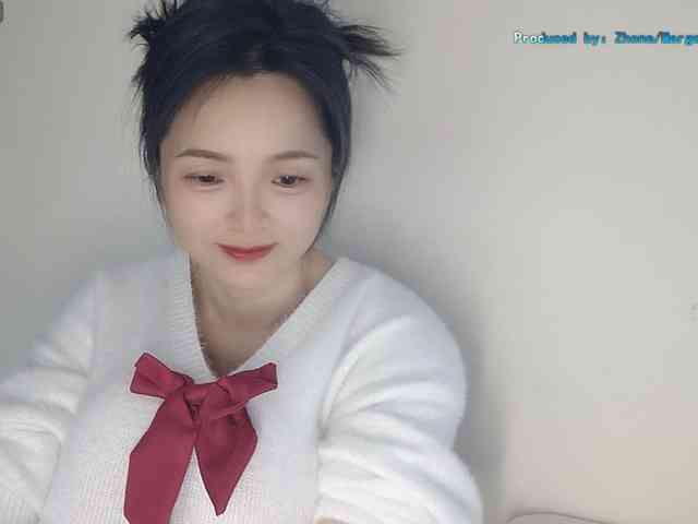 lanerb webcam