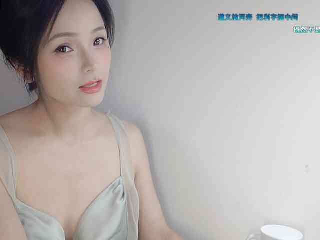 lanerb webcam
