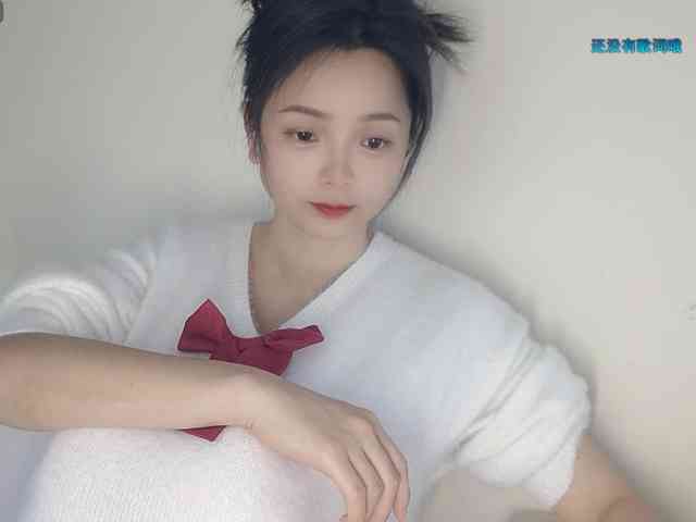 lanerb webcam
