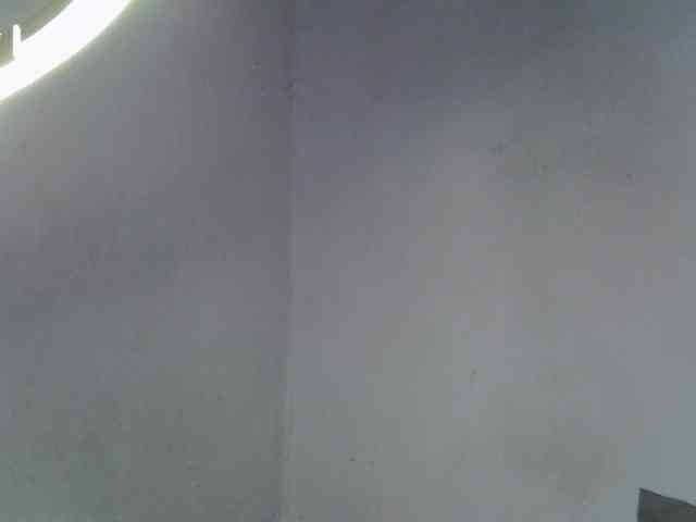 ExoticKiara1 webcam