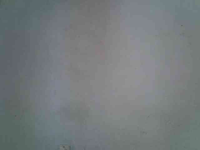 ExoticKiara1 webcam