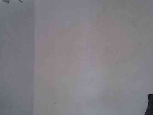 ExoticKiara1 webcam
