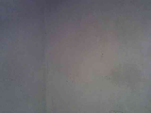 ExoticKiara1 webcam