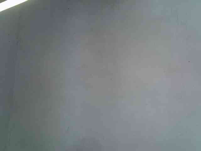 ExoticKiara1 webcam