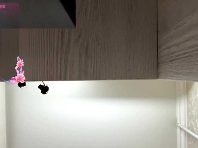 KeeshaSouthard live cam on BongaCams