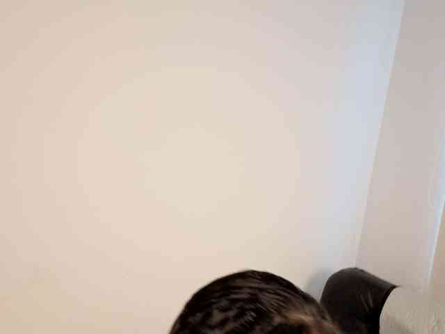 anabel693 webcam