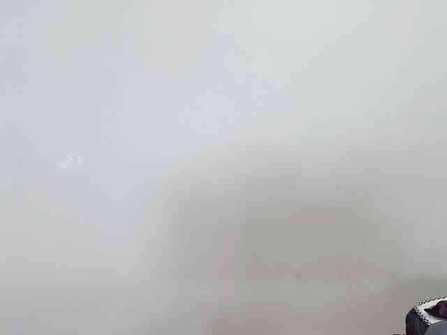 sayanimo1