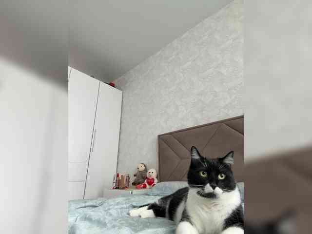 Diana1-1 webcam
