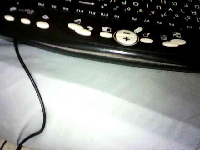 Sweetebonny webcam