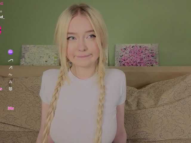 модель Erlenbayer