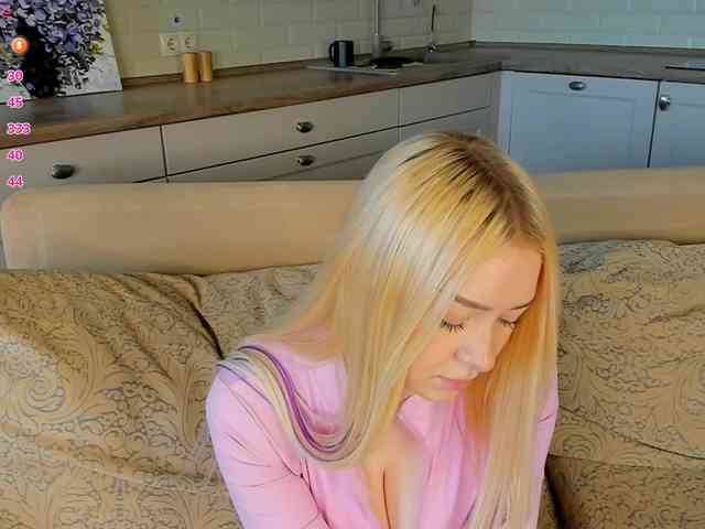 Erlenbayer webcam
