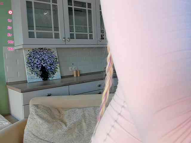 Erlenbayer webcam