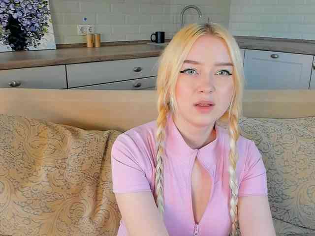 Erlenbayer webcam