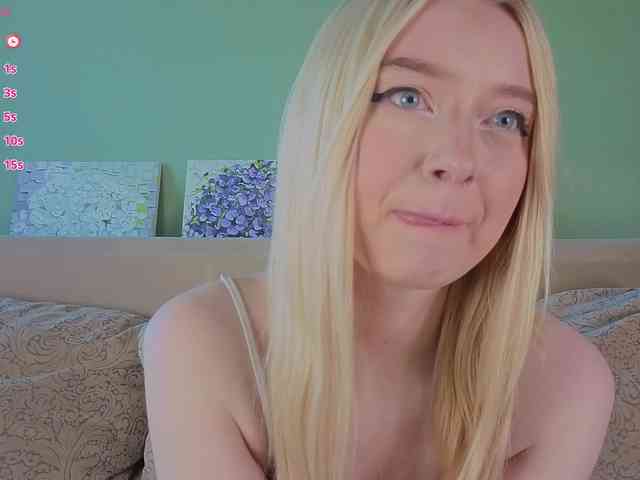 Erlenbayer webcam