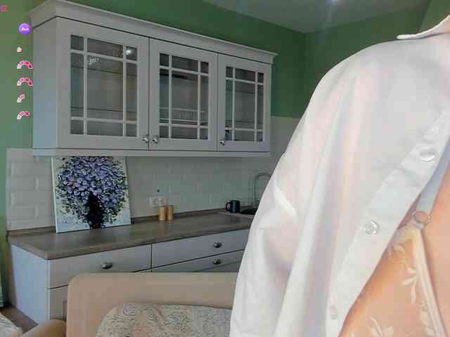 Erlenbayer webcam