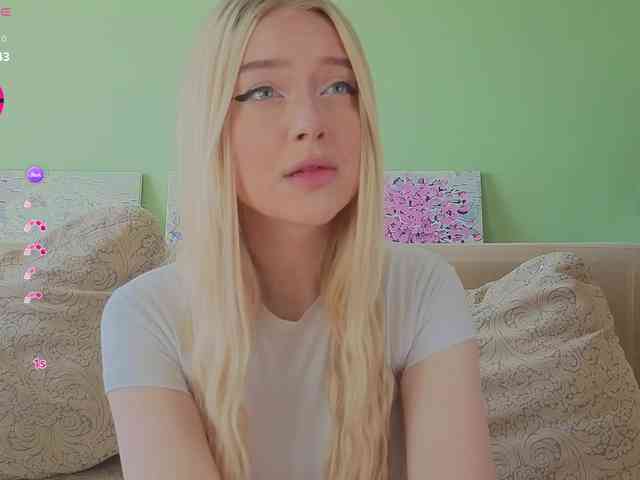 Erlenbayer webcam