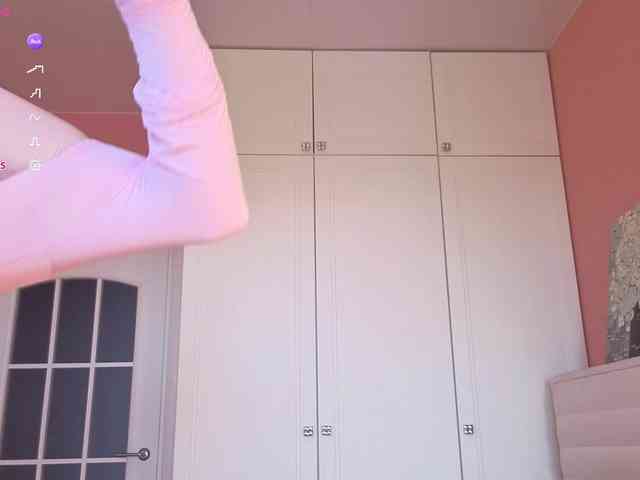 Erlenbayer webcam