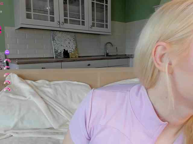 Erlenbayer webcam