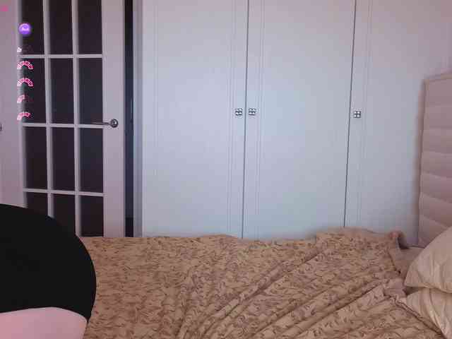 Erlenbayer webcam