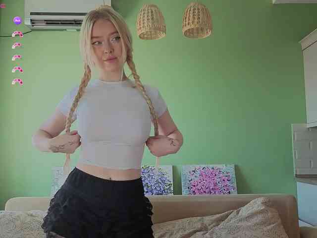 Erlenbayer webcam