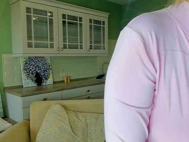 Erlenbayer webcam